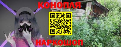 бошки Бийск