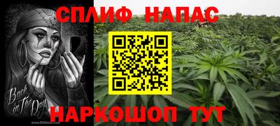 бошки Бийск