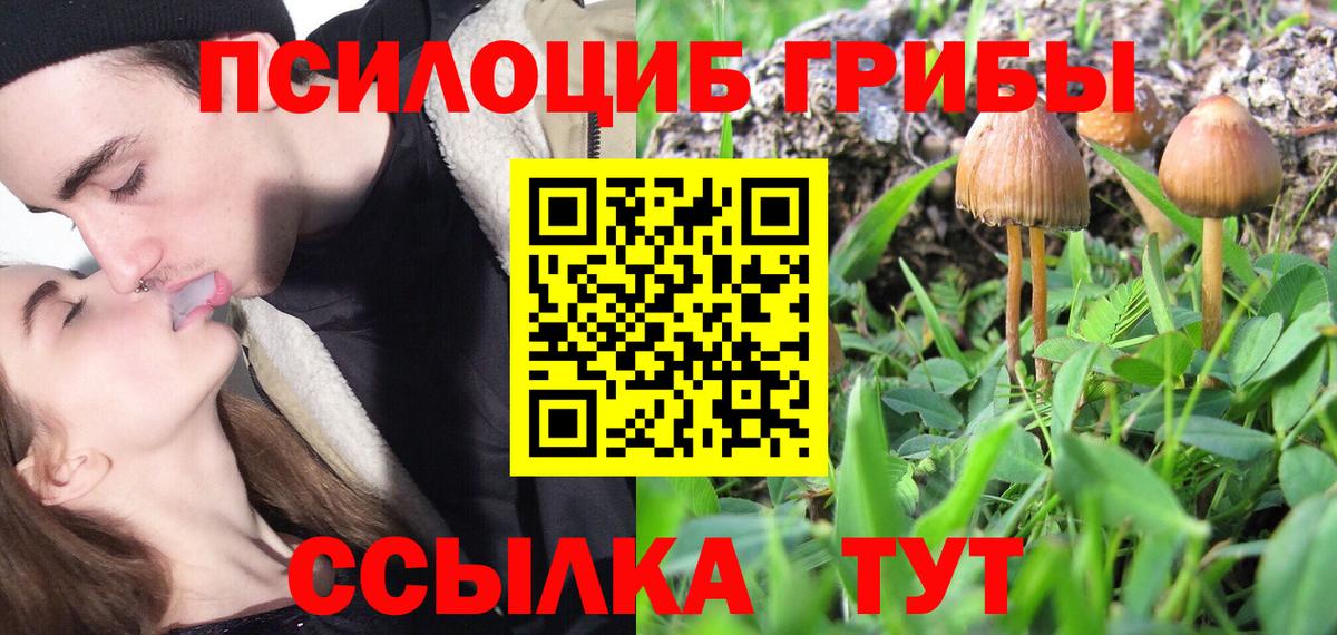 Псилоцибиновые грибы прущие грибы Обь
